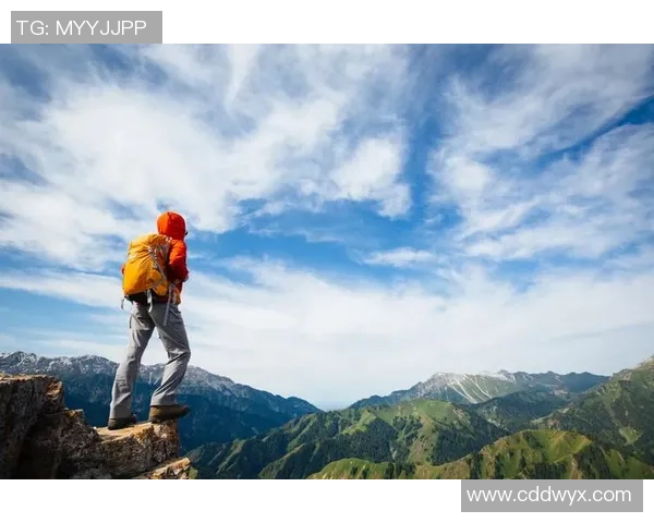 李伟的攀岩人生:从初学者到顶尖选手的心路历程与挑战