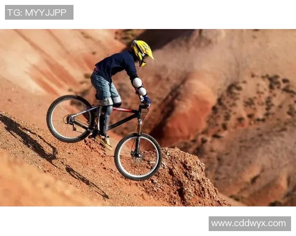 极限运动的魅力与挑战：南京极限运动队的攻防策略揭秘