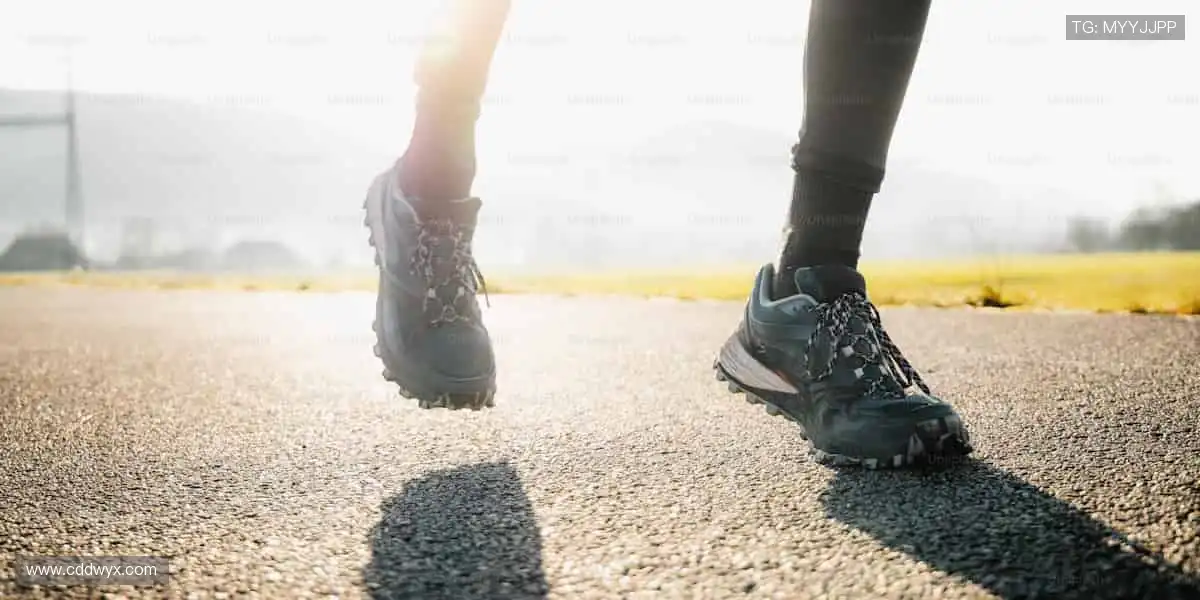 全球赛事，一键直达！🌍